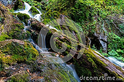 Beautiful landscape with mountain wild stream on green hills with moss Stock Photo