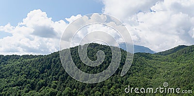mountains covered with dense pine forest. mount Olympus in Greece, National Natural Park. scenery. Stock Photo