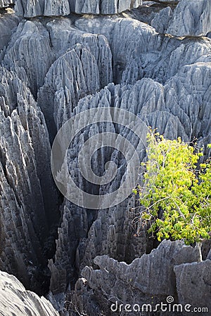 Great tsingy park in bekopaka in madagascar Stock Photo