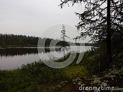 Landscape, beautiful places, trees, fields, forests, river, sky, clouds, leafs, paths, paths, wildlife, architectural landscape, Stock Photo