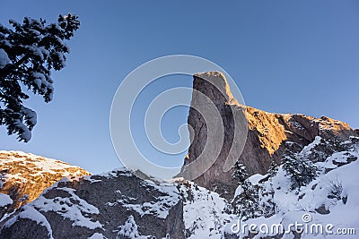 Wall of rock in winter close to Christmas Holiday with pine tree Stock Photo