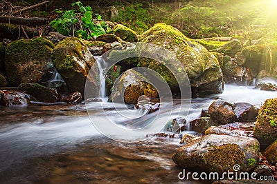 Beautiful landscape rapids on a mountains river in sunlight. Stock Photo