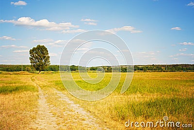 Beautiful landscape. Road to a lonely tree Stock Photo