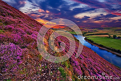Beautiful landscape of scottish nature Stock Photo