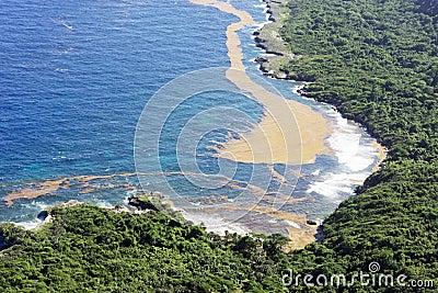 Beautiful landscape: sea, coast, Dominican national park, seaweed. Stock Photo