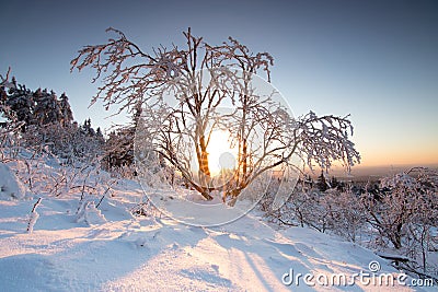 Beautiful landscape shot in winter with snow and ice. Nature in winter at sunset, Feldberg, Taunus, Hesse Stock Photo