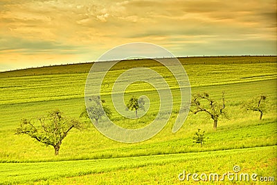 Beautiful landscape in the spring season Stock Photo