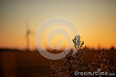 beautiful landscape at sunset. windmill in the field Stock Photo