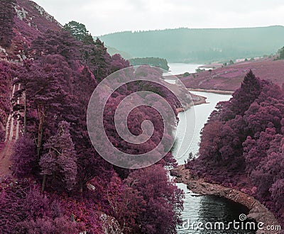 Beautiful landscape of surreal alternate colored landscape through woodlands Stock Photo