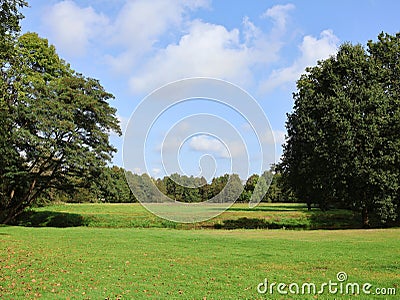 Beautiful landscape with trees on the side and in the background, green grass and blue sky with white clouds. Stock Photo