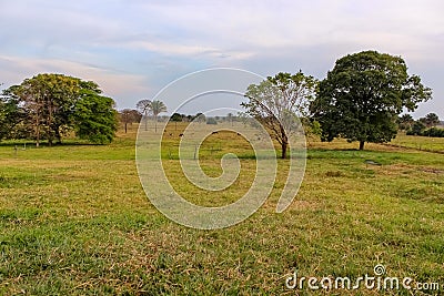 Beautiful landscape in venezuela Stock Photo