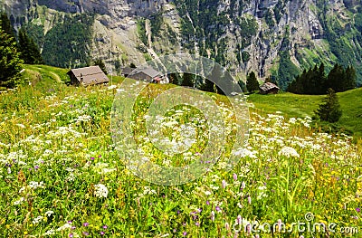 Beautiful Landscape view of Charming Murren Mountain Village with Lauterbrunnen Valley and Swiss Alps, Jungfrau region Stock Photo