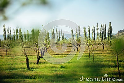 Beautiful Landscape View of Lush Green Farmland Fields and Vivid Blue Sky Above Stock Photo