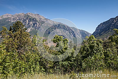 Beautiful landscape view of Provo Canyon with light blue sky and vibrant green plants trees in front Stock Photo