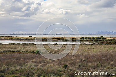 Beautiful landscape of wetlands and skyline of Melbourne Stock Photo