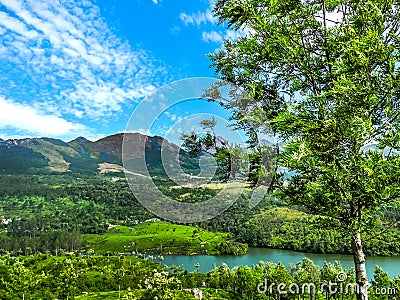 Beautiful landscape with wild forest and Periyar River, Kerala, India Stock Photo