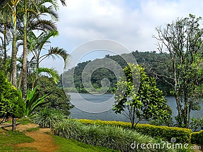 Beautiful landscape with wild forest and Periyar River, Kerala, India Stock Photo