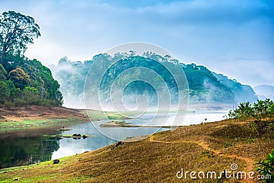 Beautiful landscape with wild forest and river with fog in India Stock Photo