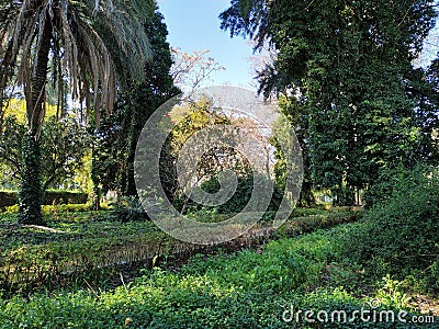Plants grass trees in the zoo of Ayamonte province of Huelva Spain Stock Photo