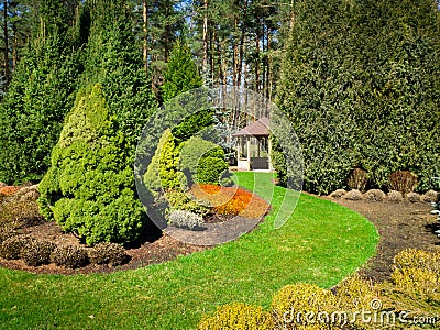 landscaped garden with conifers and bower Stock Photo