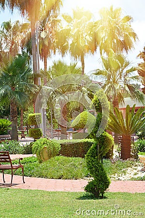 Beautiful landscaped resort park in Turkey. Tropical look. Summer background Stock Photo