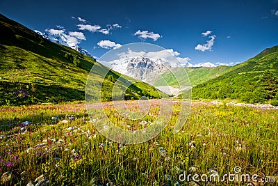 Beautiful landscapes Stock Photo