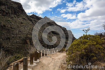 Beautiful landscapes of Barranco del Infierno in Tenerife. Stock Photo