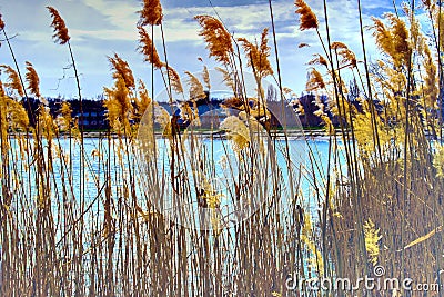 Beautiful landscapes of Russia. Rostov region. Colorful places. Green vegetation and rivers with lakes and swamps. Forests and mea Stock Photo