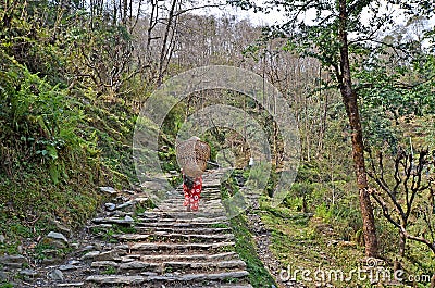 Beautiful landscapes on the track to Ghandruk village. Himalayas mountains, Nepal Stock Photo