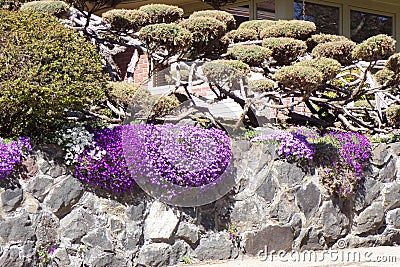 Beautiful Landscaping of a Rock Retaining Wall Editorial Stock Photo