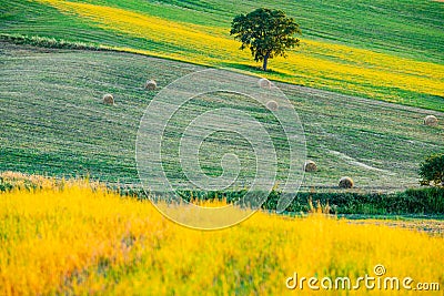 Beautiful lanscape of hilly tuscany Stock Photo