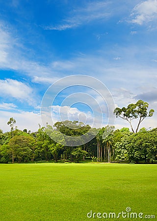 Beautiful large park with green lawn covered with grass Stock Photo