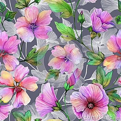 Beautiful lavatera flowers with green leaves against gray background. Seamless floral pattern. Watercolor painting. Cartoon Illustration