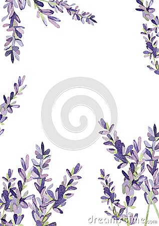 Beautiful lavender frame with watercolor twigs, flowers. Violet border illustration for wedding invitation, greeting card Cartoon Illustration