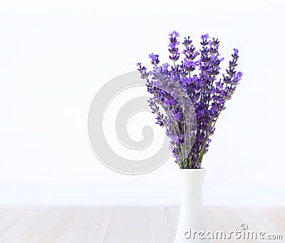 Beautiful lavender. Stock Photo