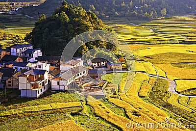 Terrace at guizhou china Stock Photo