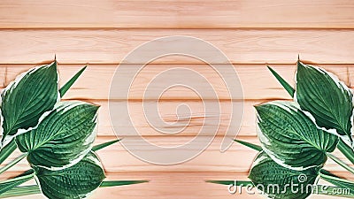 Beautiful Layout Made of Tropical Green Leaves and Empty Wooden background For Copy Space. Minimal Natural Background Stock Photo