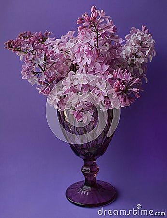 Beautiful lilac vintage faceted glass on a table with lilac flowers on a purple background Stock Photo