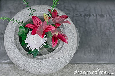 Beautiful Lilies flower in stone pot Stock Photo