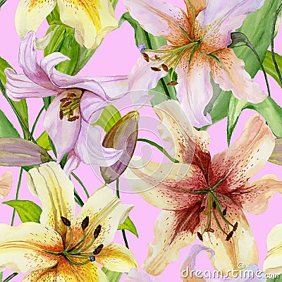 Beautiful lily flowers with green leaves on pink background. Seamless floral pattern. Watercolor painting. Cartoon Illustration