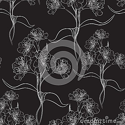 Beautiful line black alstroemeria flowers branch seamless pattern. Vector illustration. Vector Illustration