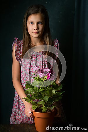 Girl with royal pelargonium Stock Photo