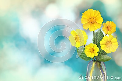 Beautiful live coreopsis bouquet bouquet in glass vase with blank place for your text on left on nature leaves and branches bokeh Stock Photo