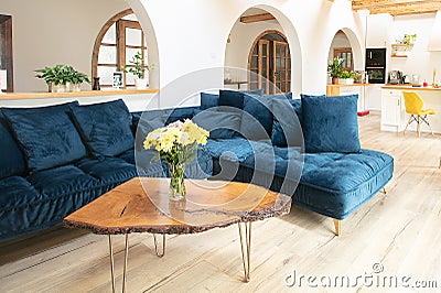 Beautiful living room with light kitchenette Stock Photo