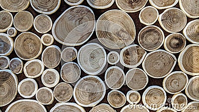 Beautiful log of wood Stock Photo
