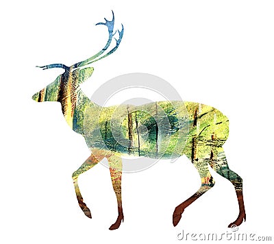 Beautiful lonely deer with a background of green forest Stock Photo