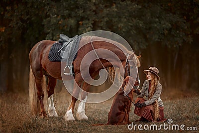 Beautiful long-haired blonde young woman in English style with red draft horse, Irish setter dog Stock Photo