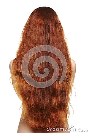 https://thumbs.dreamstime.com/x/beautiful-long-red-hair-woman-back-view-38754131.jpg