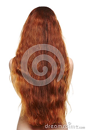 beautiful long red hair woman back view 38754131