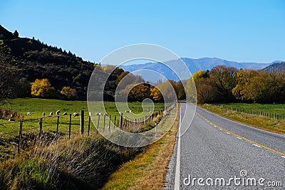 BEautiful long road at Newzealand Stock Photo